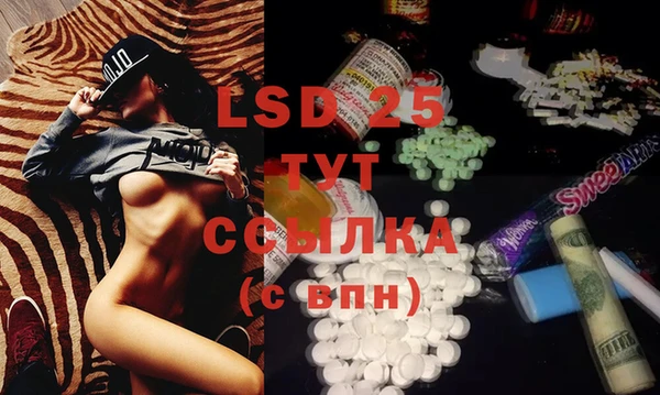 ALPHA PVP Медвежьегорск